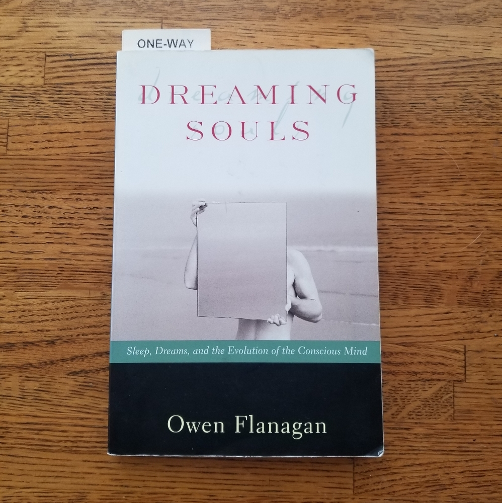 Dreaming Souls paperback by Owen Flanagan